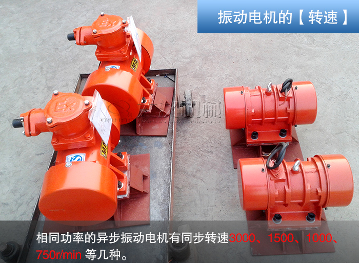 直線篩振動(dòng)電機(jī)